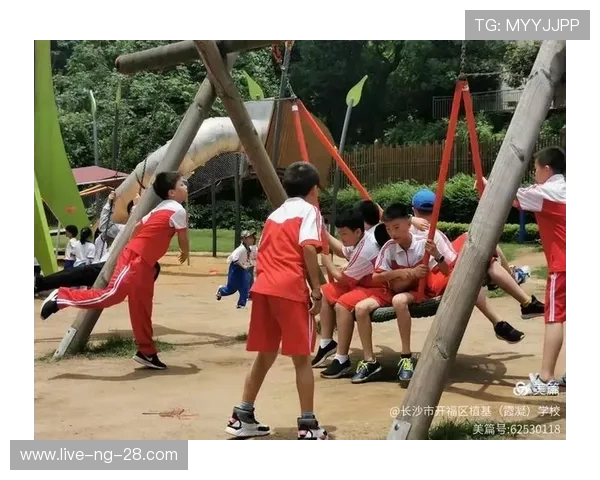 探索全身运动的奥秘:提升身体素质与健康的科学方法和实践技巧 探索全身运动的奥秘:提升身体素质与健康的科学方法和实践技巧