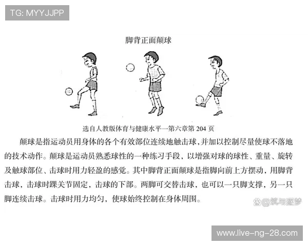 全面提升身体素质与运动表现的科学训练方法与实践技巧解析