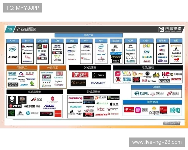 电竞产业崛起背后的深度解析与未来发展趋势展望