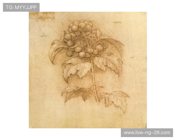 亚当斯的传奇人生与创新思想对现代社会的深远影响探讨