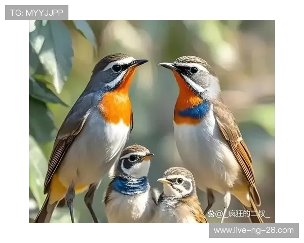 大阪钢吧与鸟类的奇妙对话探索自然与城市的和谐共生
